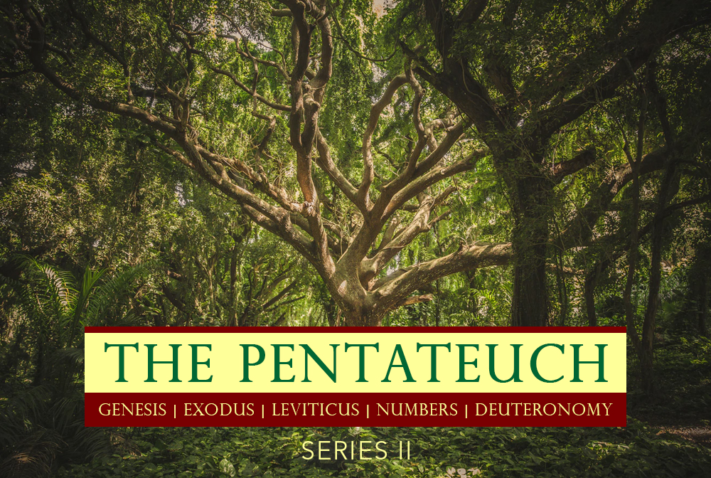 The Pentateuch Series II