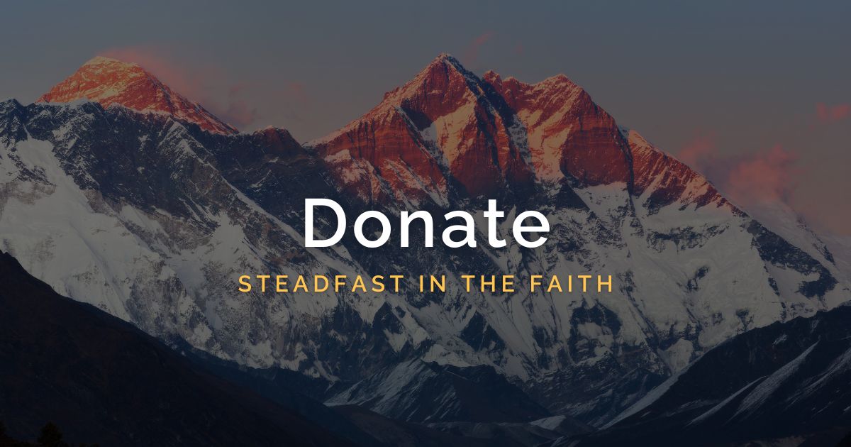 Donate to Steadfast